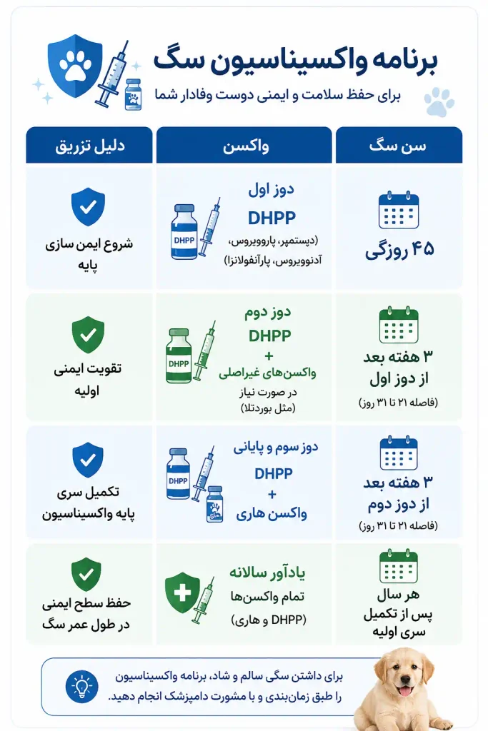 اینفوگرافی پروتکل رایج تزریق واکسن در ایران