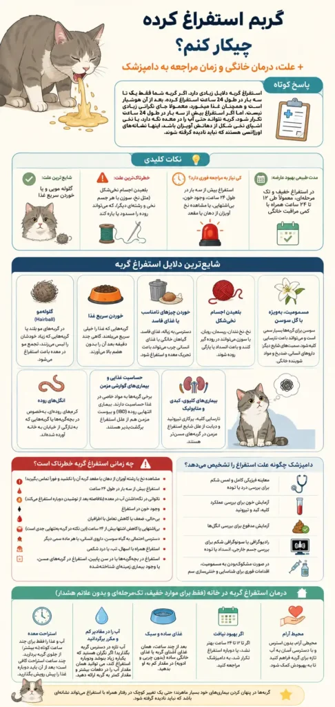 اینفوگرافیک علل، علائم هشدار و زمان مراجعه دامپزشک برای استفراغ گربه