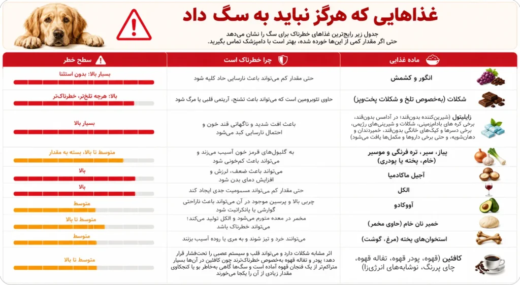 اینفوگرافی غذاهای ممنوعه برای سگ