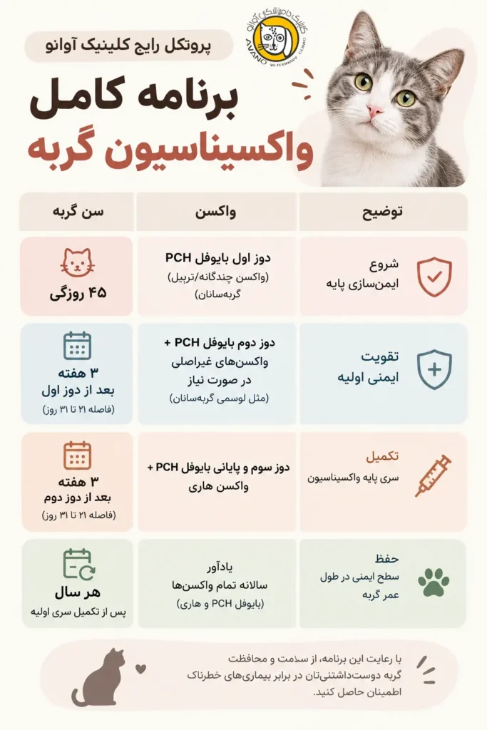 برنامه واکسیناسیون گربه - کلینیک دامپزشکی آوانو - پروتکل رایج