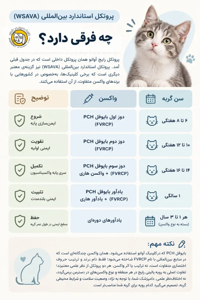 پروتکل استاندارد واکسیناسیون گربه - کلینیک دامپزشکی آوانو