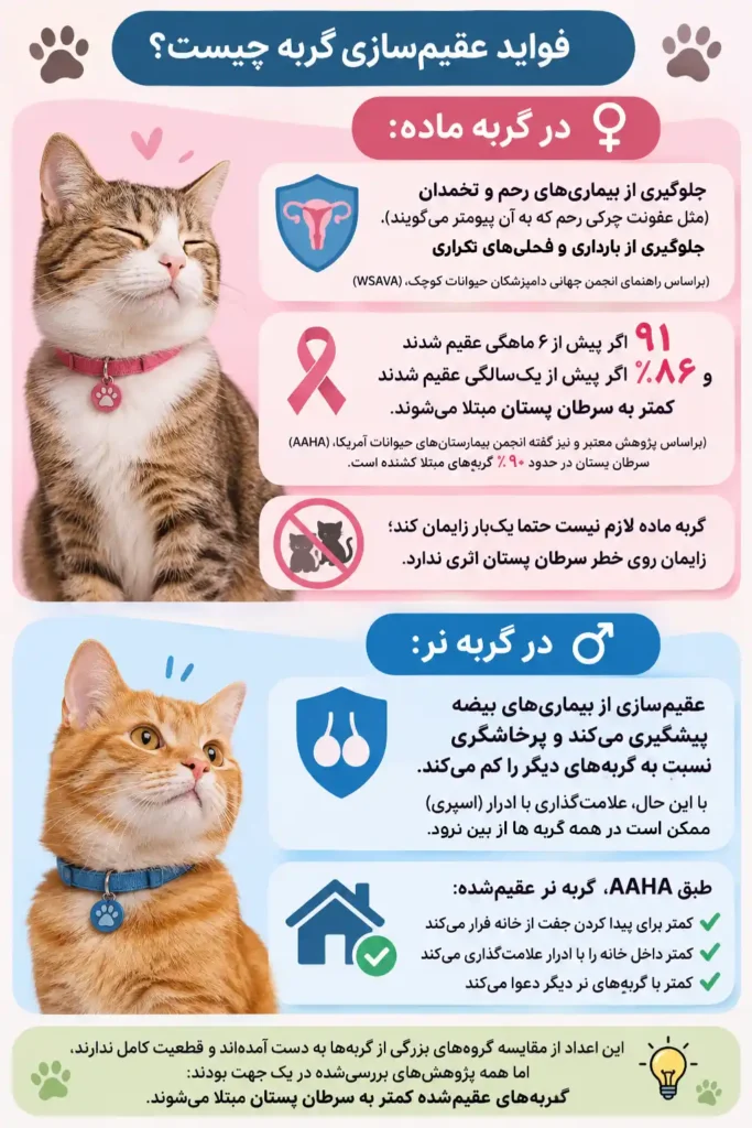 اینفوگرافی فواید عقیم سازی گربه - کلینیک دامپزشکی آوانو