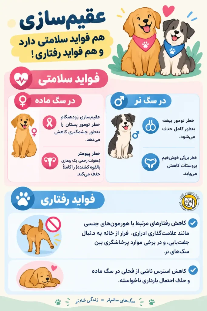 اینفوگرافی فواید عقیم سازی در سگ نر و ماده